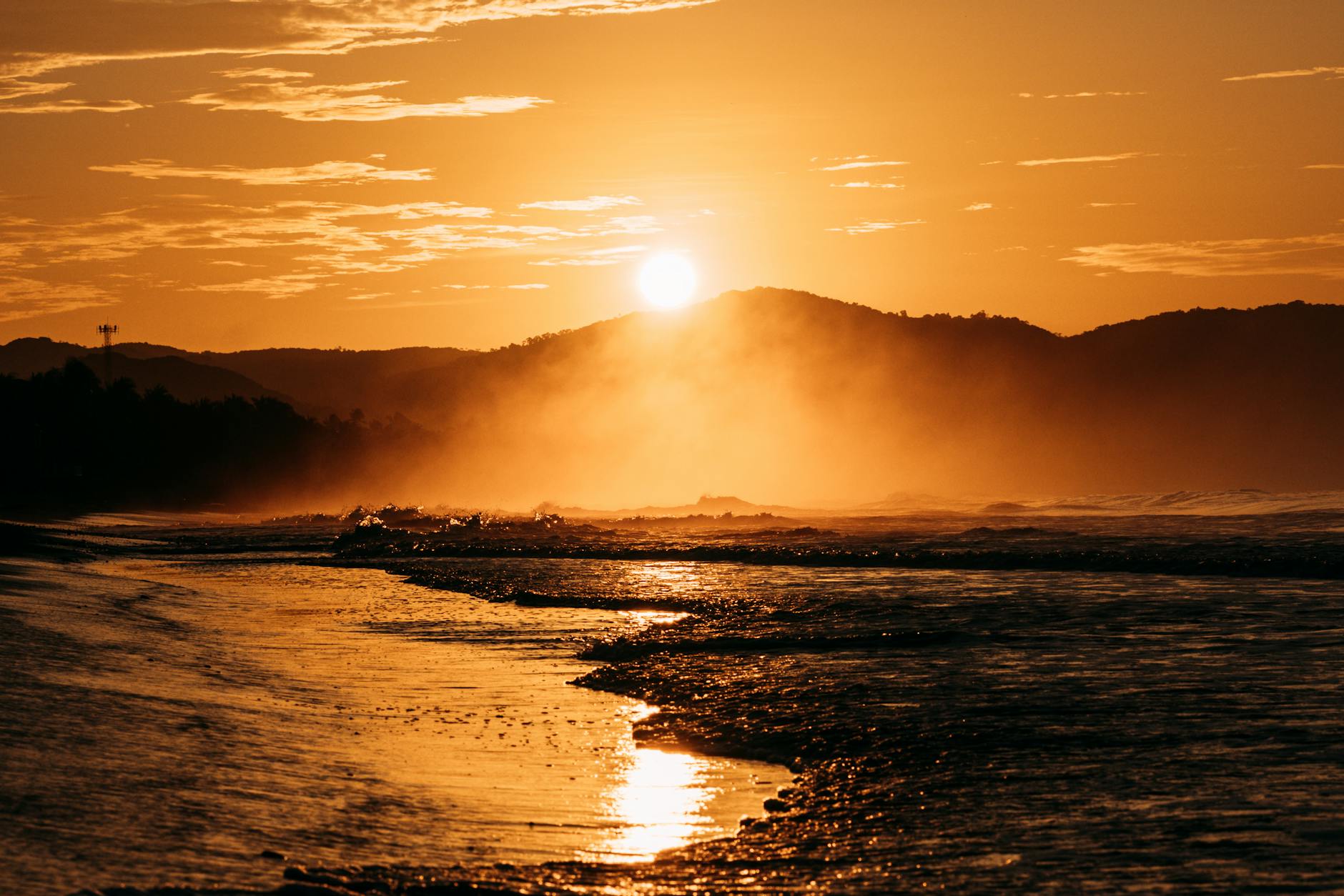 Viñedo español al atardecer con tonos dorados