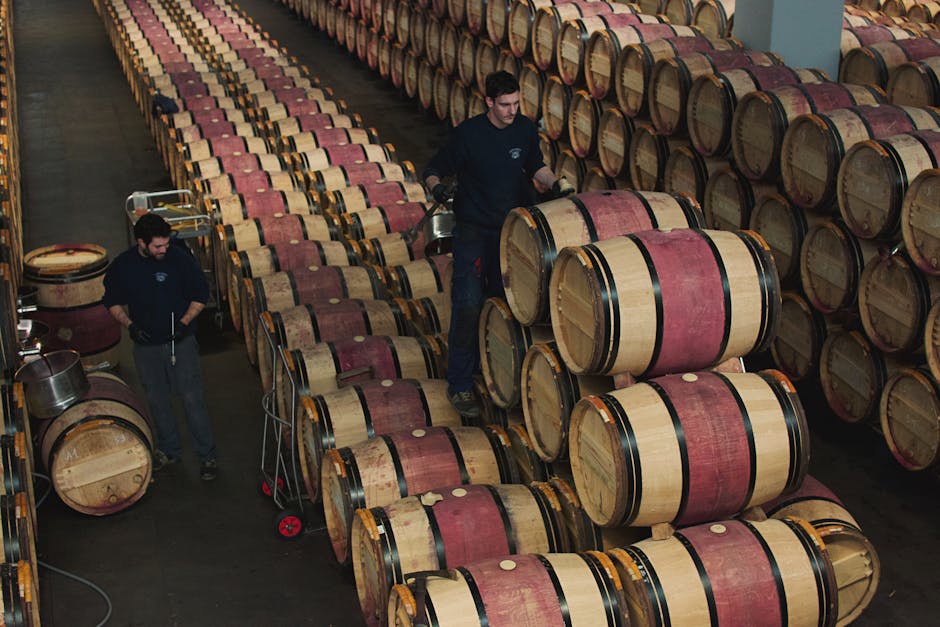 Interior de bodega española con barricas de roble