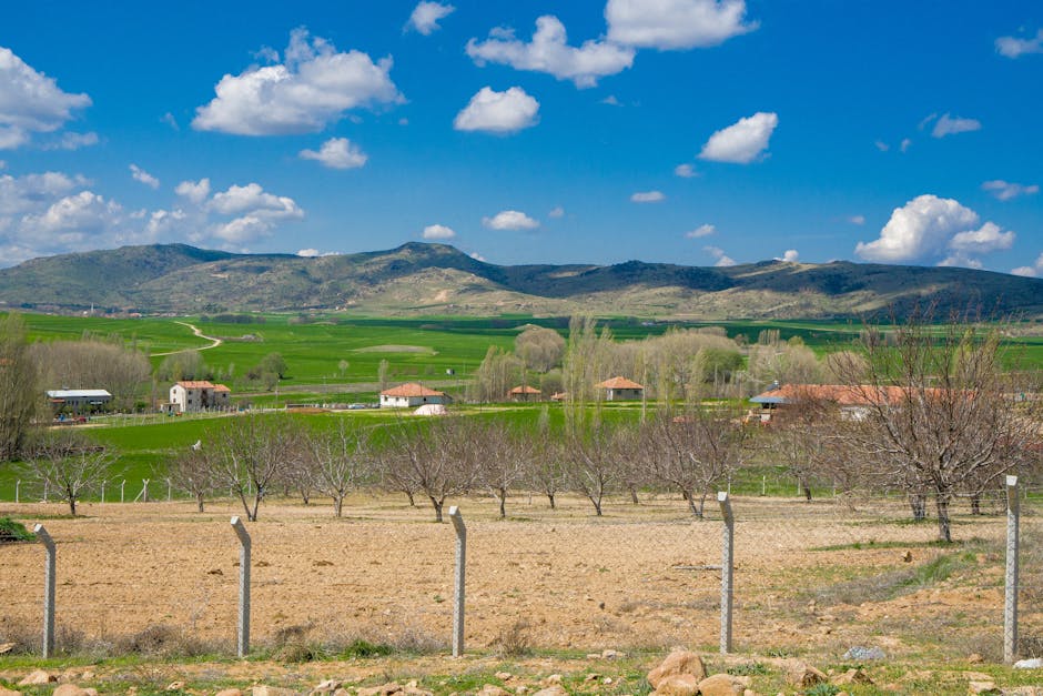 Paisaje de viñedos en La Rioja con sierra al fondo